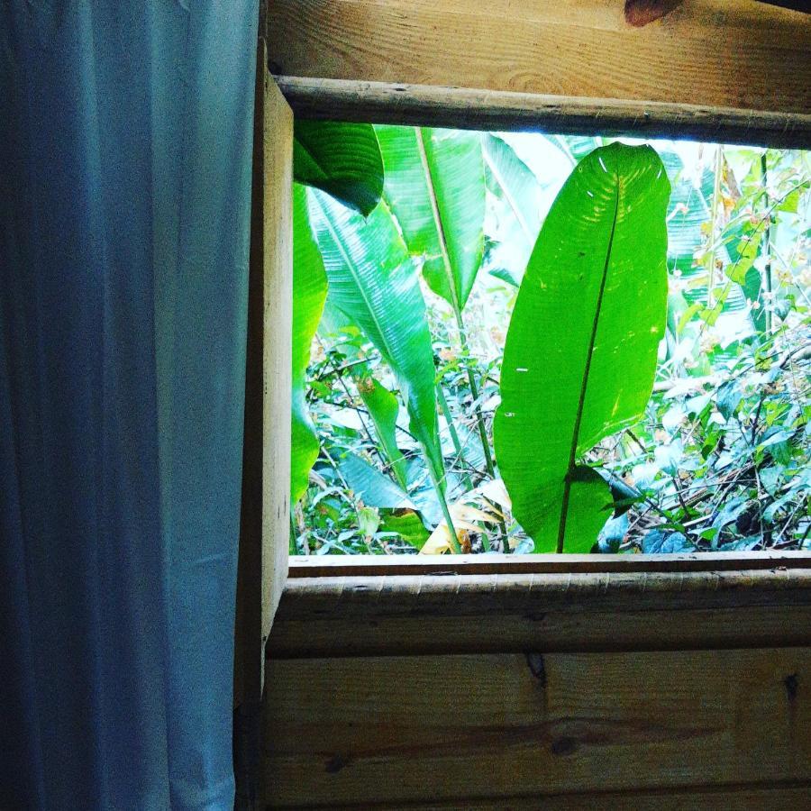 ホテル Casa Ranxoxita Itaipava エクステリア 写真