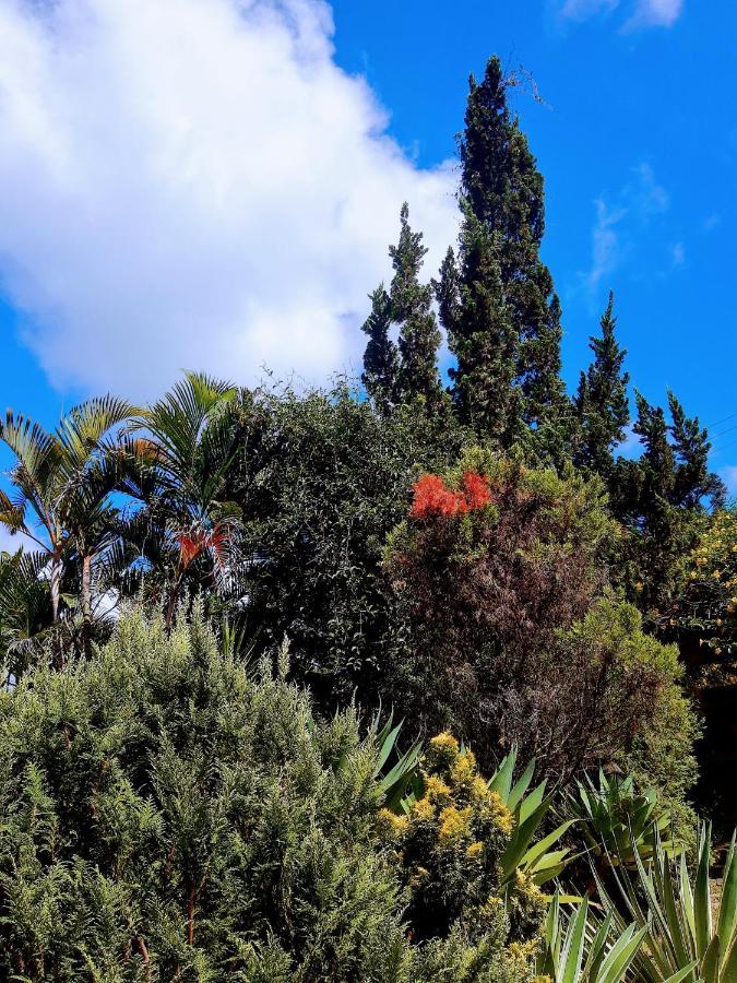 ホテル Casa Ranxoxita Itaipava エクステリア 写真