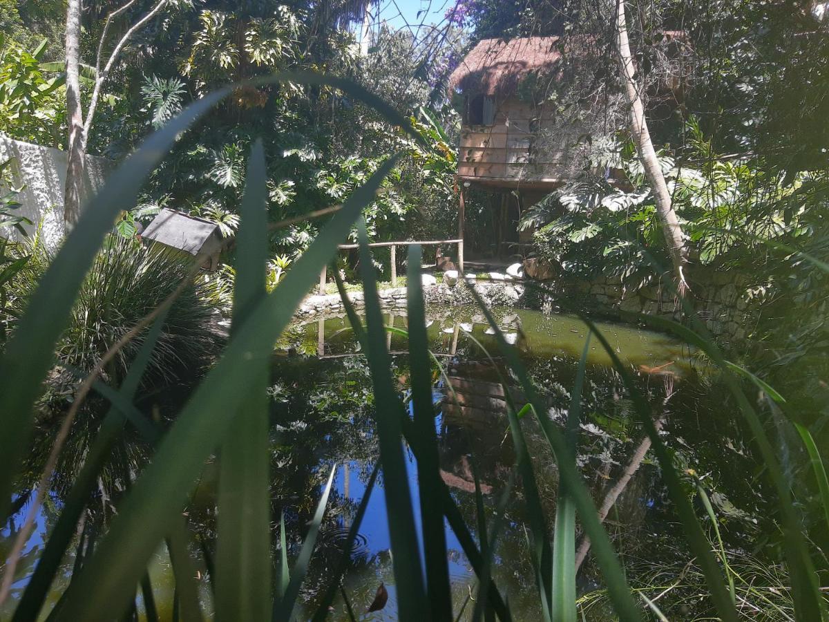 ホテル Casa Ranxoxita Itaipava エクステリア 写真