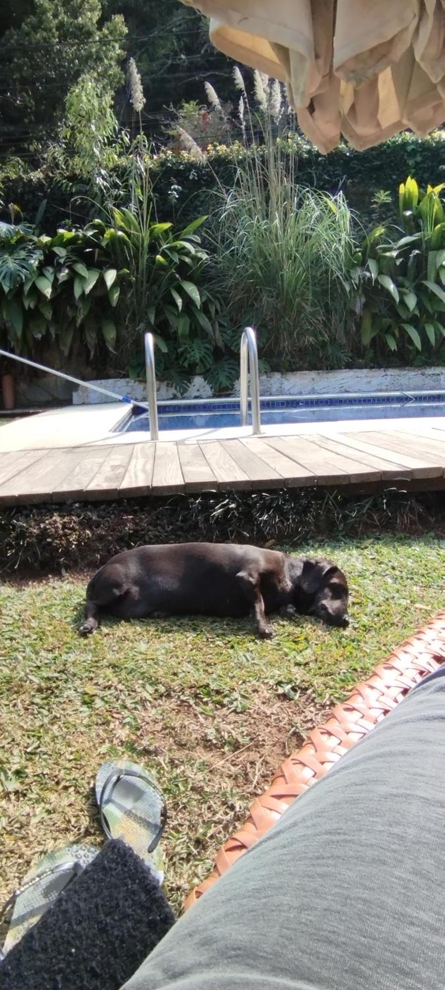ホテル Casa Ranxoxita Itaipava エクステリア 写真