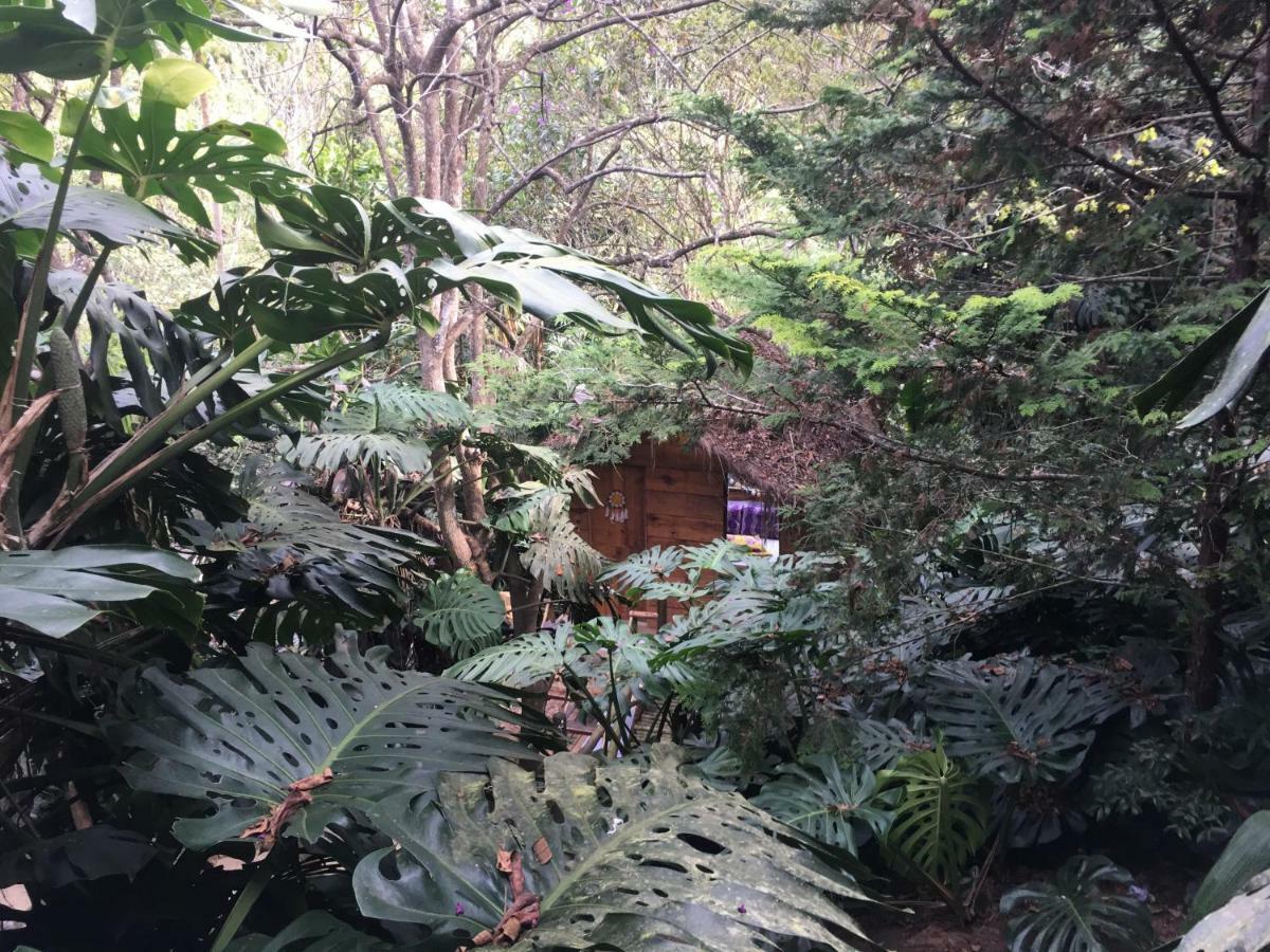 ホテル Casa Ranxoxita Itaipava エクステリア 写真