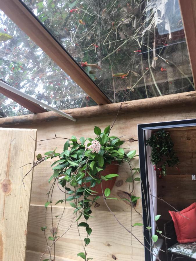 ホテル Casa Ranxoxita Itaipava エクステリア 写真